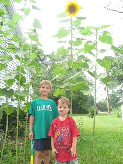 10 Bible Ideas for Spring