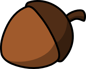 acorn