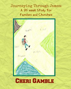 Journeying Through James Bible Reading Plan