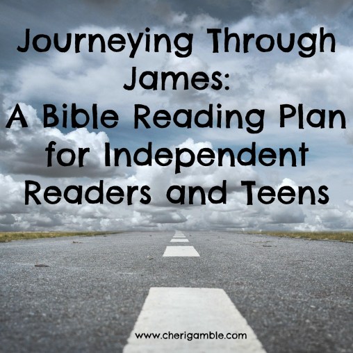 Journeying Through James Reading Plan Chapter Three