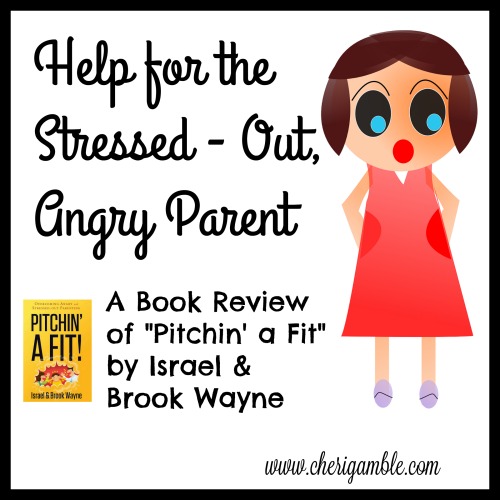 Help for the stressed out angry parent