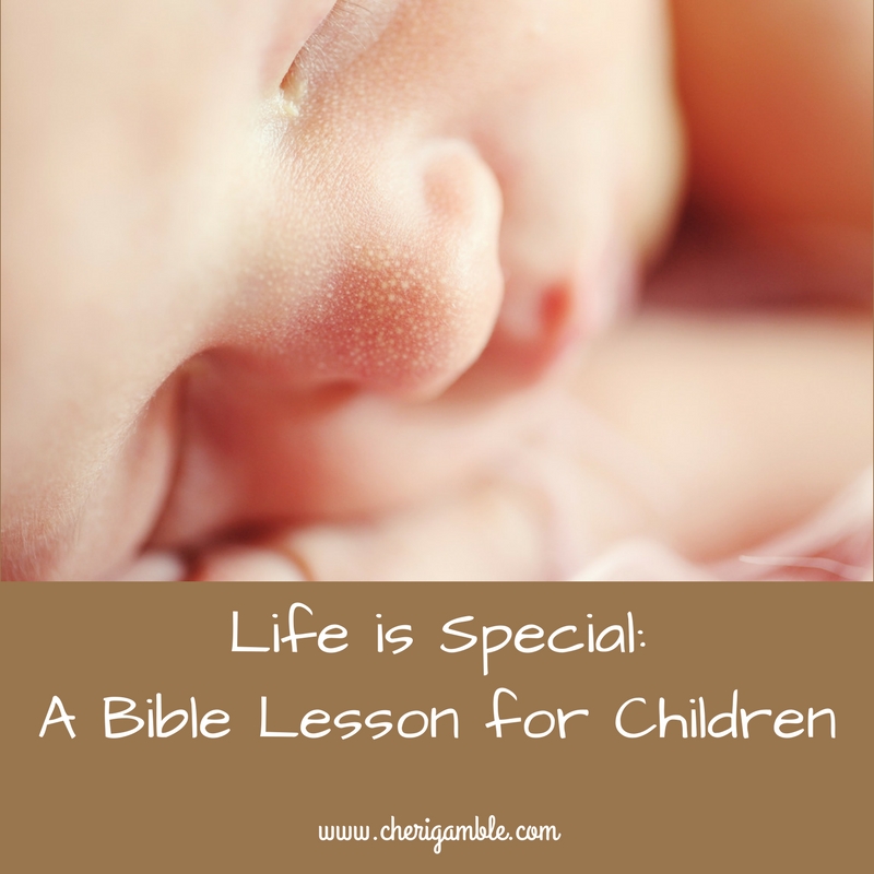 A Bible Lesson for Children on the Value of Life – Cheri Gamble